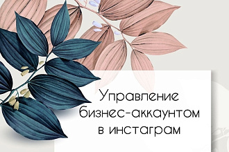 Возьму на управление ваш аккаунт в инстаграм