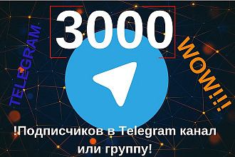 3000 подписчиков телеграм