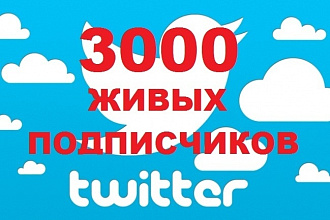3000 подписчиков в Ваш аккаунт Twitter
