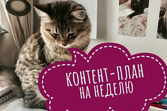 Контент-план на неделю