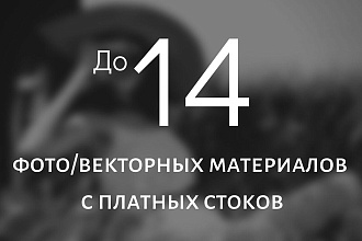 До 14 фото или вектора с платных стоков