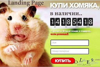 Лендинг за 4 часа, с бешенной конверсией, который продает