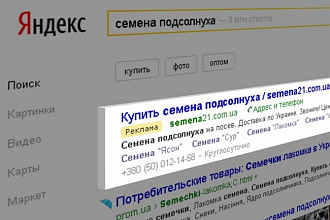 Турбо - настройка Яндекс Директ под ключ -100 объявлений