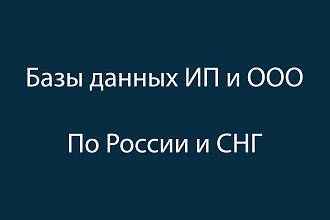 Базы данных ИП и ООО