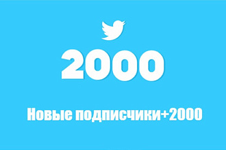 2000 новых подписчиков в Twitter