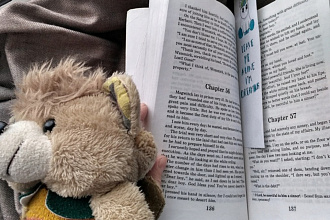 Переведу статью