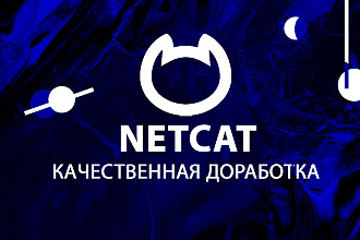 CMS Netcat Доработка сайта