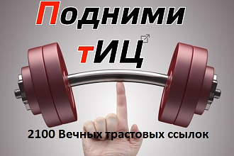 Трастовые вечные ссылки от 2100 с ТИЦ от 10+ для вашего сайта
