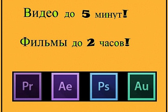 Смонтирую Ваше видео до 5 минут