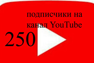 250 подписчиков с гарантией 30 дней