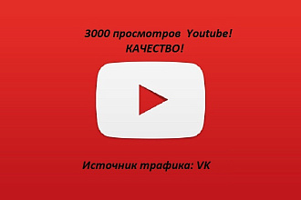 3000 тысячи просмотров видео Youtube