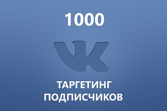 1000 настраиваемых подписчиков ВК