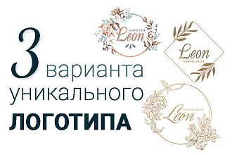 Логотип в 3-х вариантах от профессионального дизайнера