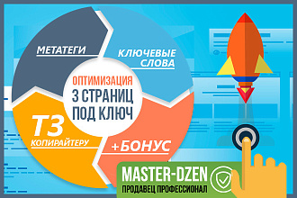 SEO оптимизация для 3 страниц - Метатеги, ТЗ копирайтеру, ключи+Бонус