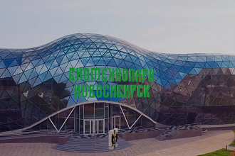 Дополненное видео