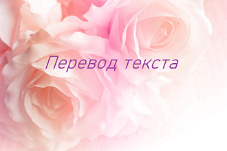 Переведу текст любого размера Русский-Польский-Русский