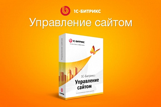 Онлайн консультация по системе 1С Битрикс