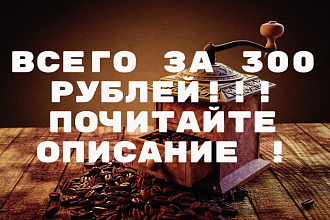 Перевод в текст за 300. качественно