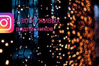 3000 живых подписчиков на страницу в instagram