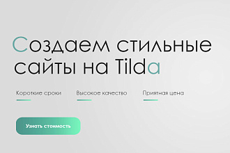 Создам эффективный сайт на TILDA под контекстную рекламу