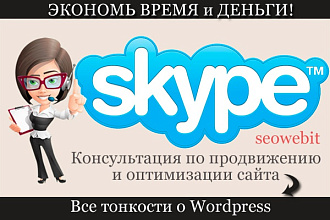 Консультация в Skype по продвижению вашего сайта на Wordpress
