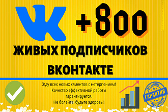 +800 живых подписчиков ВКонтакте