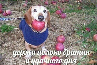 Напишу песню с глубинным смыслом