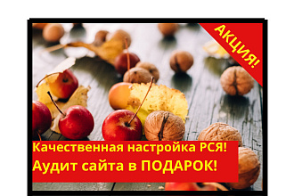 Окупаемая настройка РСЯ