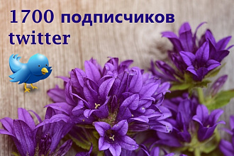 Получите 1700 подписчиков для Вашего аккаунта Twitter