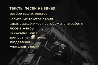 Напишу любой текст песни