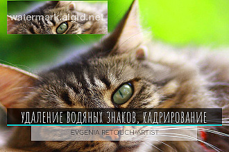 Удаление водяных знаков, лишних объектов