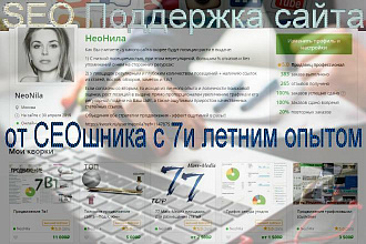 SEO Поддержка сайта