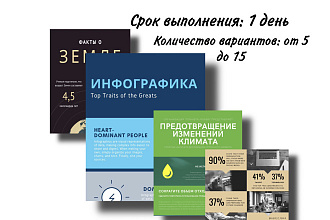 Инфографика