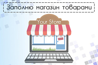 Ручное наполнение интернет-магазина товарами