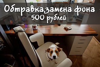 Обтравка 30 шт, удаление и замена фона