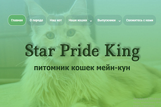 Создам сайт
