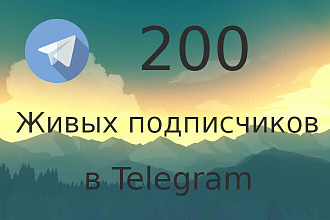 200 живых подписчиков на Telegram канал