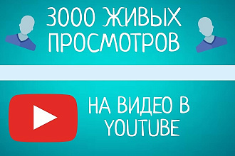 + 3000 живых просмотров на ваше видео в ютуб