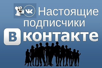 Подписчики ВКонтакте