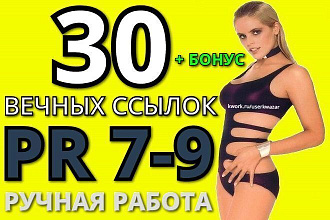 30 вечных ссылок с Google page rank, вывод в топ, ручная работа +бонус