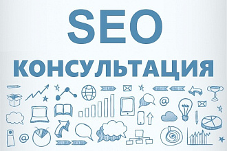 Скайп консультация. SEO продвижение без вложений