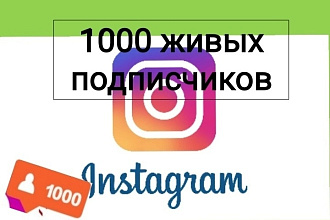 1000 подписчиков в Instagram