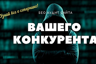 SEO-аудит ниши