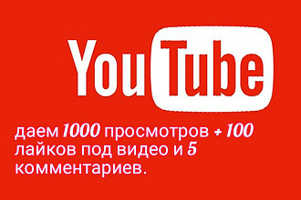 Даем 1000 просмотров + 100 лайков под видео и 5 комментариев