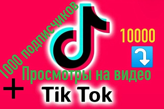 1000 подписчиков и 10000 Просмотров на видео