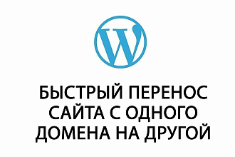 Грамотный перенос сайта WordPress на новый домен