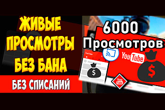 Один ролик 6000 просмотров с гарантией живые просмотры без списаний