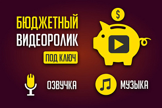 Видеоролик бюджетный. Включая озвучку и музыку