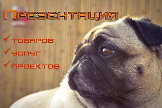 Создание уникальных презентаций в MS PowerPoint и PDF