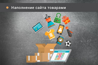 Наполнение сайта товарами, контентом